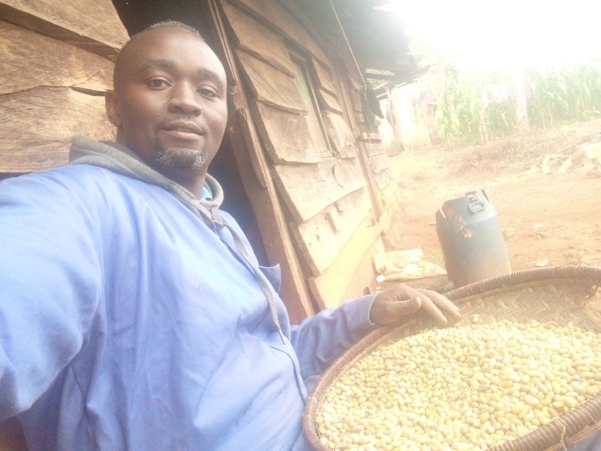 In Murang'a County doing my #MaandamanoWednesdayToFridy in the farm. If you can't grow food for others, grow food for yourself. Tuendeshe economy namna hiyo. #Thikaroad