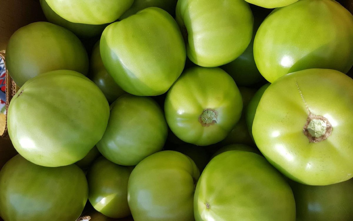 Fork_and_Fiddle's tweet image. It’s that time of year, Fiddlers! Our Fried Green Tomato Boats and Fried Green Tomato BLT is BACK again! See you this weekend! #forkandfiddle #lowcountry #foodtruck #greentomatoes #followthatbigorangetrailer