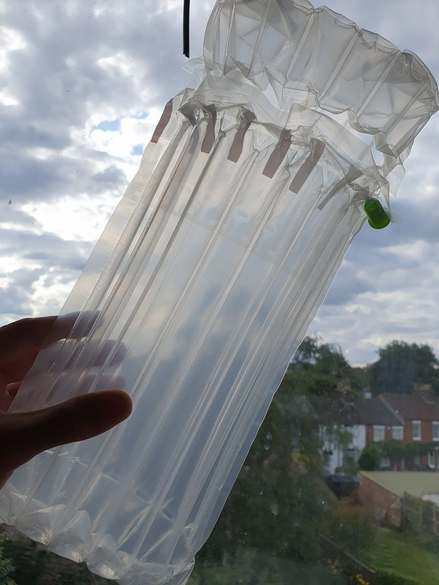 Whisky Pioneer tweet media