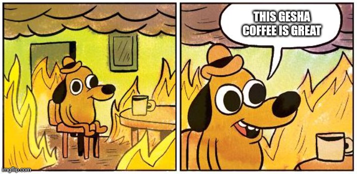Current office vibes