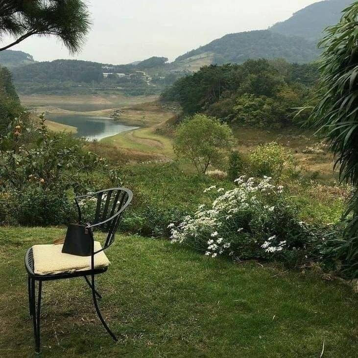 softdeIicacy's tweet image. a bit of solitude.