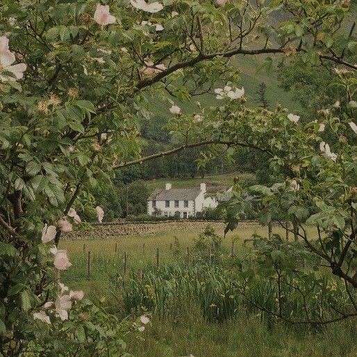 softdeIicacy's tweet image. a bit of solitude.