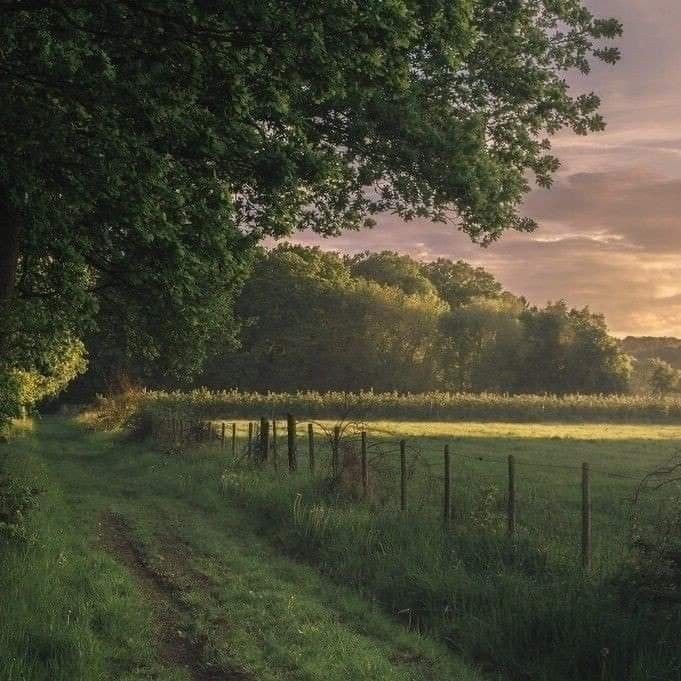 softdeIicacy's tweet image. a bit of solitude.