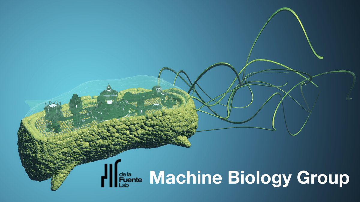 César de la Fuente tweet media