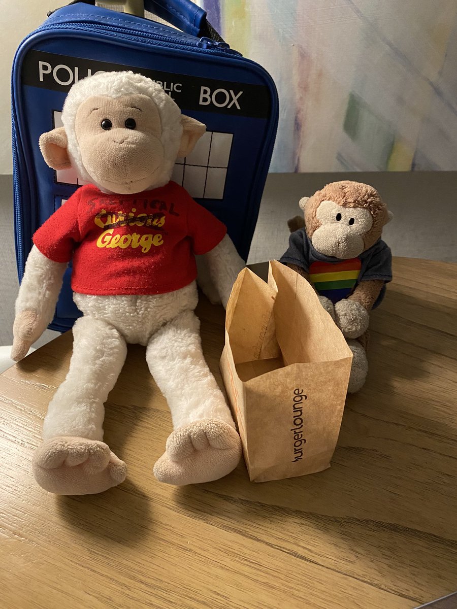 SkepticalGeorge's tweet photo. @TravelingMocha went out to @Burger_Lounge and I thought he brought me back French Fries but it was just the bag they came in. It is a very cute bag but I wish it were filled with fries. 🐵🙊 #Monkeybusiness https://t.co/gD8LhFMKgG
