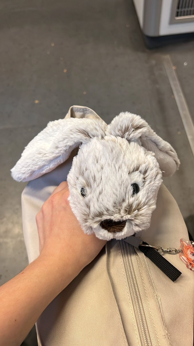 KimokiTato's tweet photo. Look at my new friend https://t.co/xzWIUbDF8M