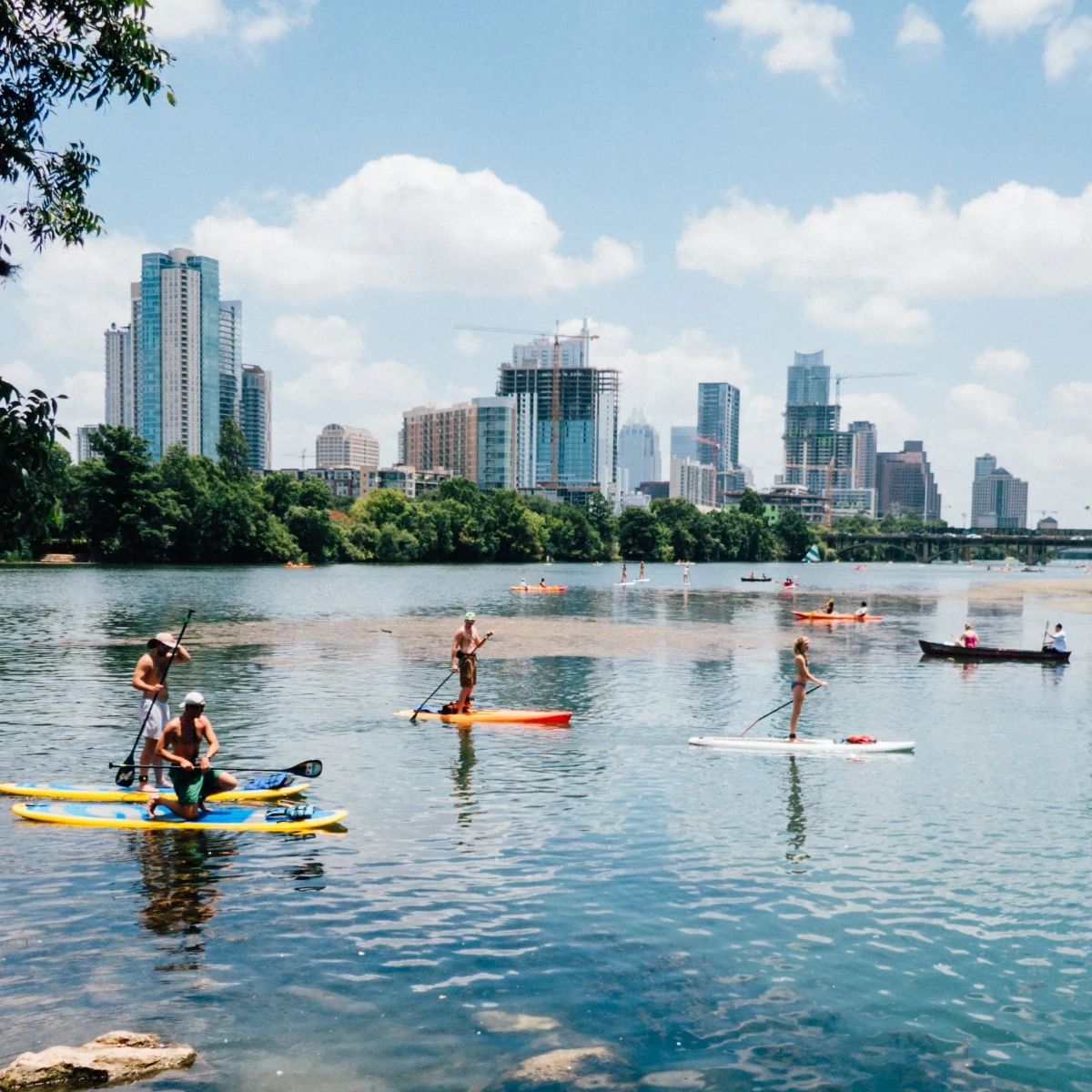 Capital Cruises tweet media