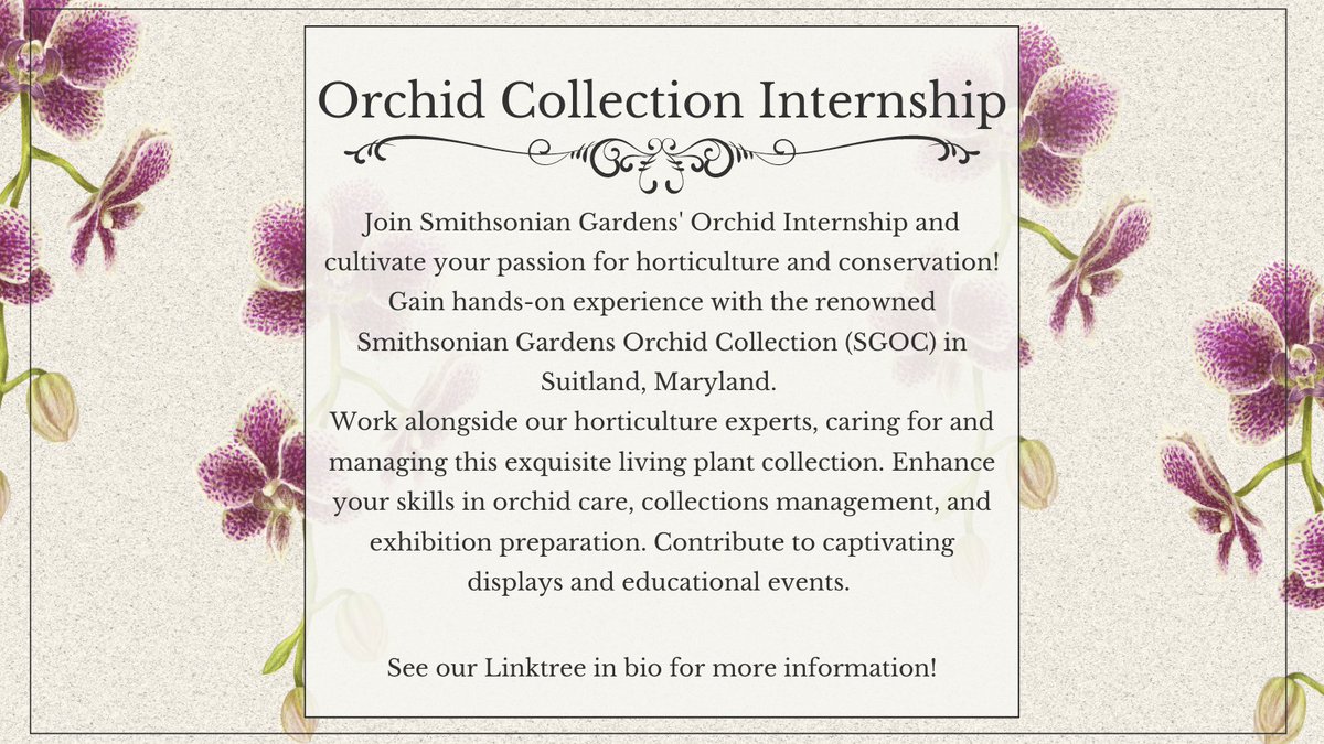 CenterForEURECA's tweet photo. 🌿Passionate about plants? Join Smithsonian Gardens' Orchid Internship and gain hands-on experience in orchid care, collections management, and exhibition prep. Be part of the prestigious Smithsonian Institution in Suitland, Maryland. Apply now! 🌸🌱#OrchidInternship https://t.co/hwyoyGwPIM