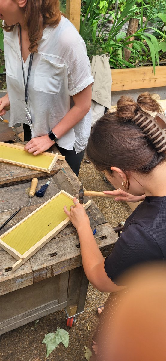 SaraCaravelas's tweet photo. Lovely morning @BeeUrbanLondon with TheParkCollege Young Ambassadors &amp; @HorlockRhian to unveil  the mural they painted to brighten the community!

We even had a go at making screens for the bee hives, under the students supervision!

@volunteering_uk #TLYA https://t.co/l6GsYnlZkI