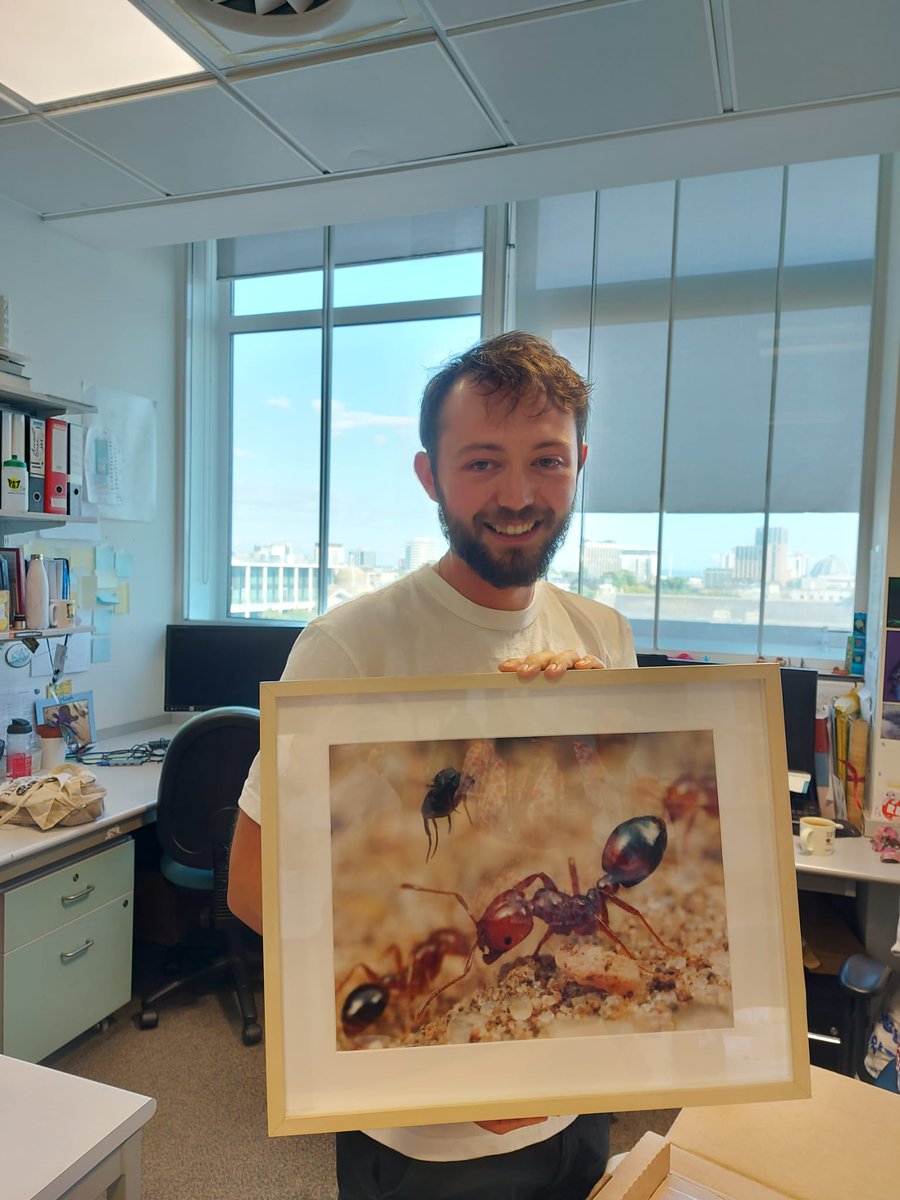 MolEcolCU's tweet photo. Congratulations to the new C5.15 Doctor @MaximumInsect π₯³! Well done Max! Keep spreading joy and love of ππ wherever life takes you. #antsmatter #insectsmatter https://t.co/FR9k1trX01