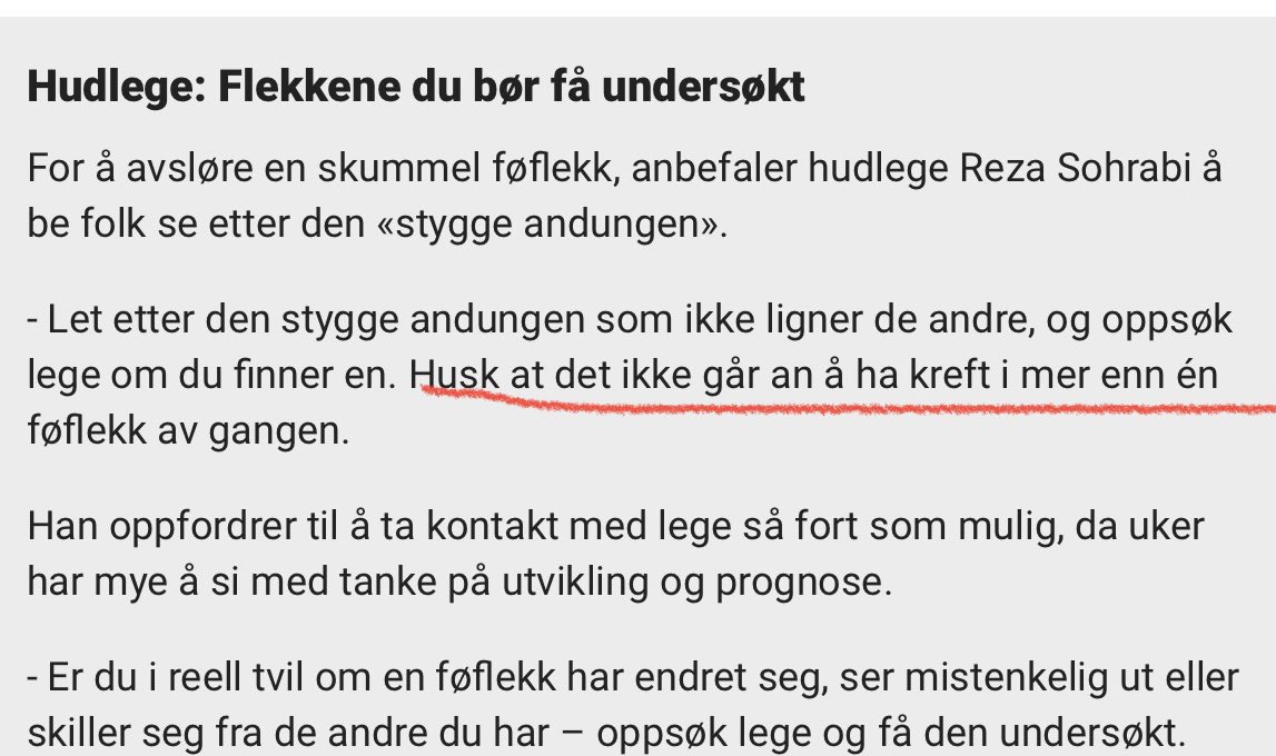 Lise Lyngsnes Randeberg tweet media
