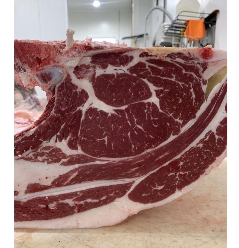 The 4H steers are dressing out well… From breeding through harvest, we’re proud of these home-raised results! #gelbvieh