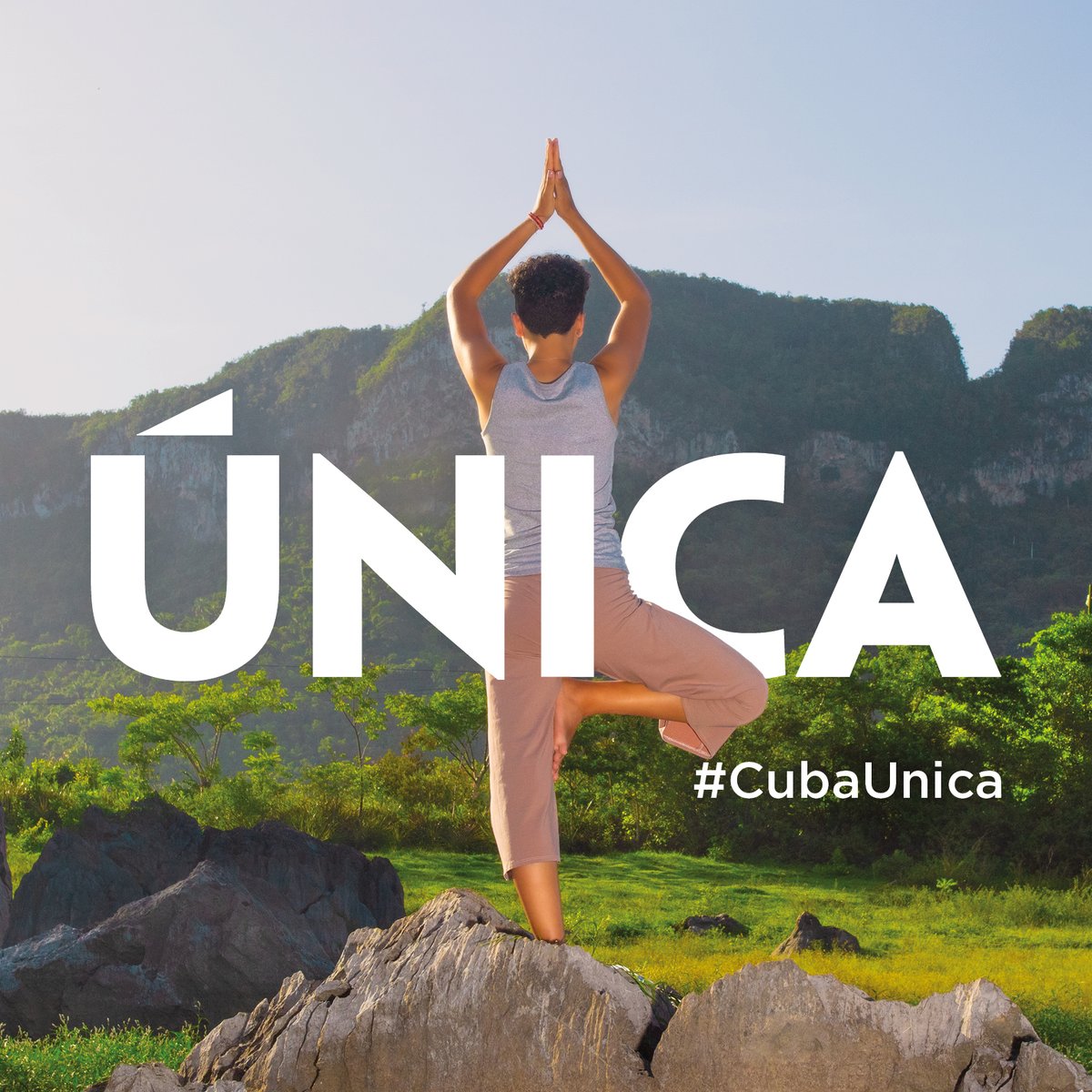 transgaviota's tweet photo. 📍Descubre la naturaleza única de #Cuba 🇨🇺: belleza, tranquilidad y un destino turístico incomparable. 😎
#CubaUnica #CubaÚnica #enjoycuba #varadero #cayococo #cayosantamaria #lahavana #havana #habana #lahabana #Naturaleza #Tranquilidad #DestinoTuristico #ParaísoTropical https://t.co/8m6oXUPb35