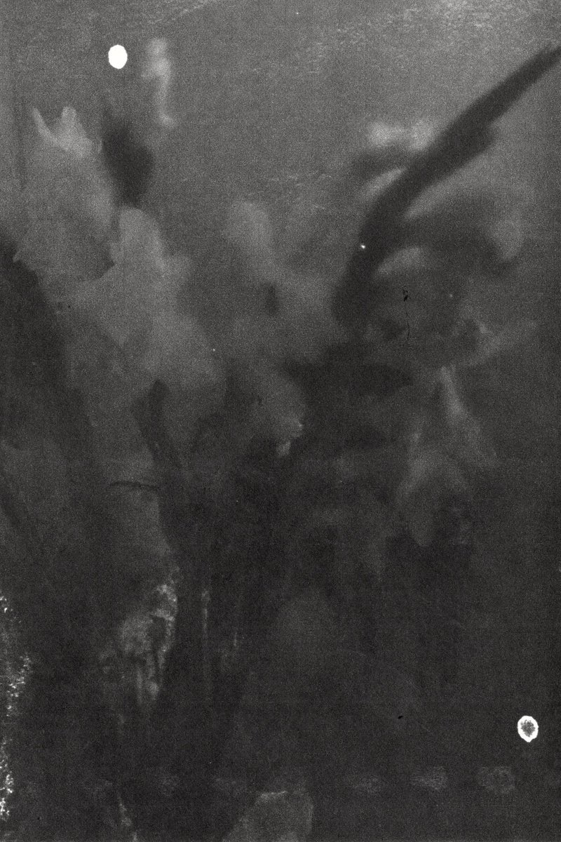 oandrshchnk's tweet image. longing