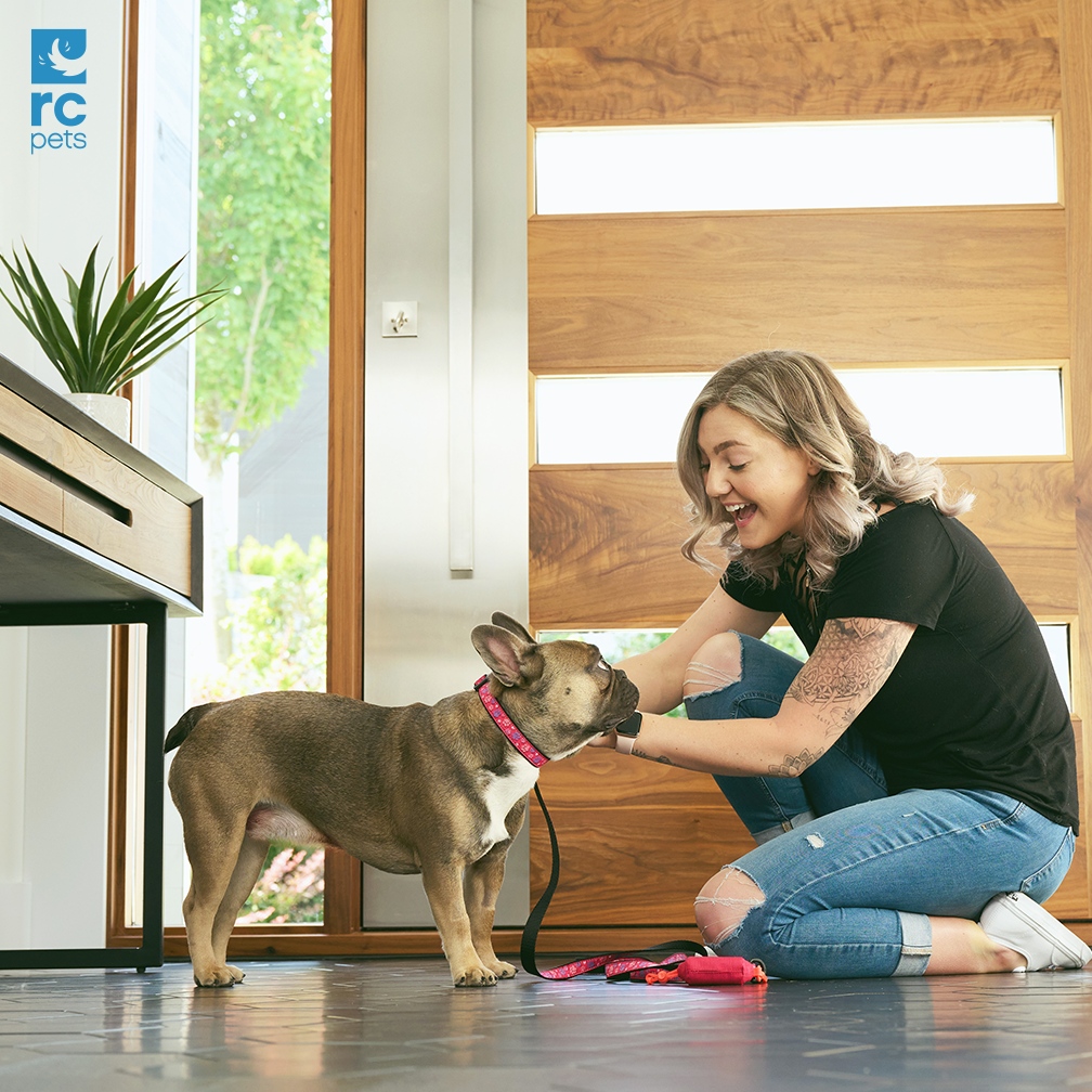 RC Pets tweet media