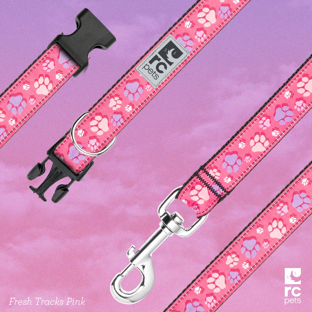 Upgrade your furry bffs style and get them in on the #barbiecore action with this cute collar and leash set. 

We hope you're ready for some serious 'awws' and endless compliments! 💕 

Shop Fresh Tracks Pink now at l8r.it/tWyN

#rcpets #welovepets #makeeverydayatreat