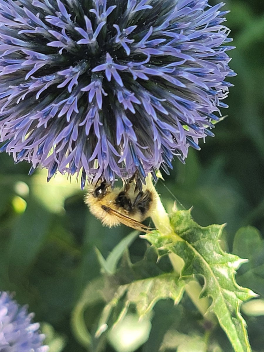 Rachmtbs (@rachmtbs) on Twitter photo 