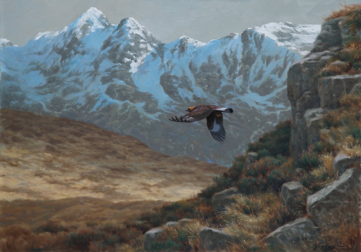 Immature Golden Eagle among the Cuillin Hills of Skye

Reintroduced here in Ireland after a long absence. 

#wildlifeart #wildlifepainting #goldeneagle #isleofskye #ireland #extinction #reintroduction