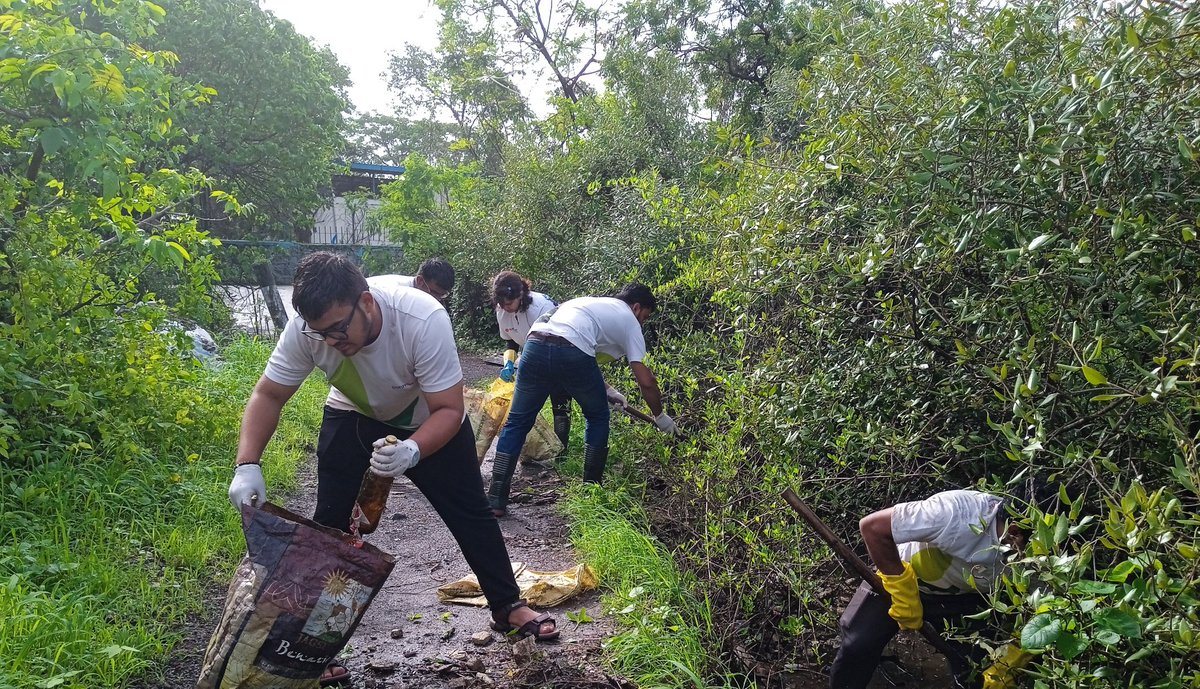 🌿Environmental Action! Dharmesh & volunteers transformed Seawood's mangroves, instilling pride & responsibility🌿
Preventing garbage in water bodies is crucial. Unite for a greener, cleaner tomorrow! 🌏🌳

Read here: mumbai.citizenmatters.in/mangrove-clean…

#EnvironmentalAction 
#SaveMangroves