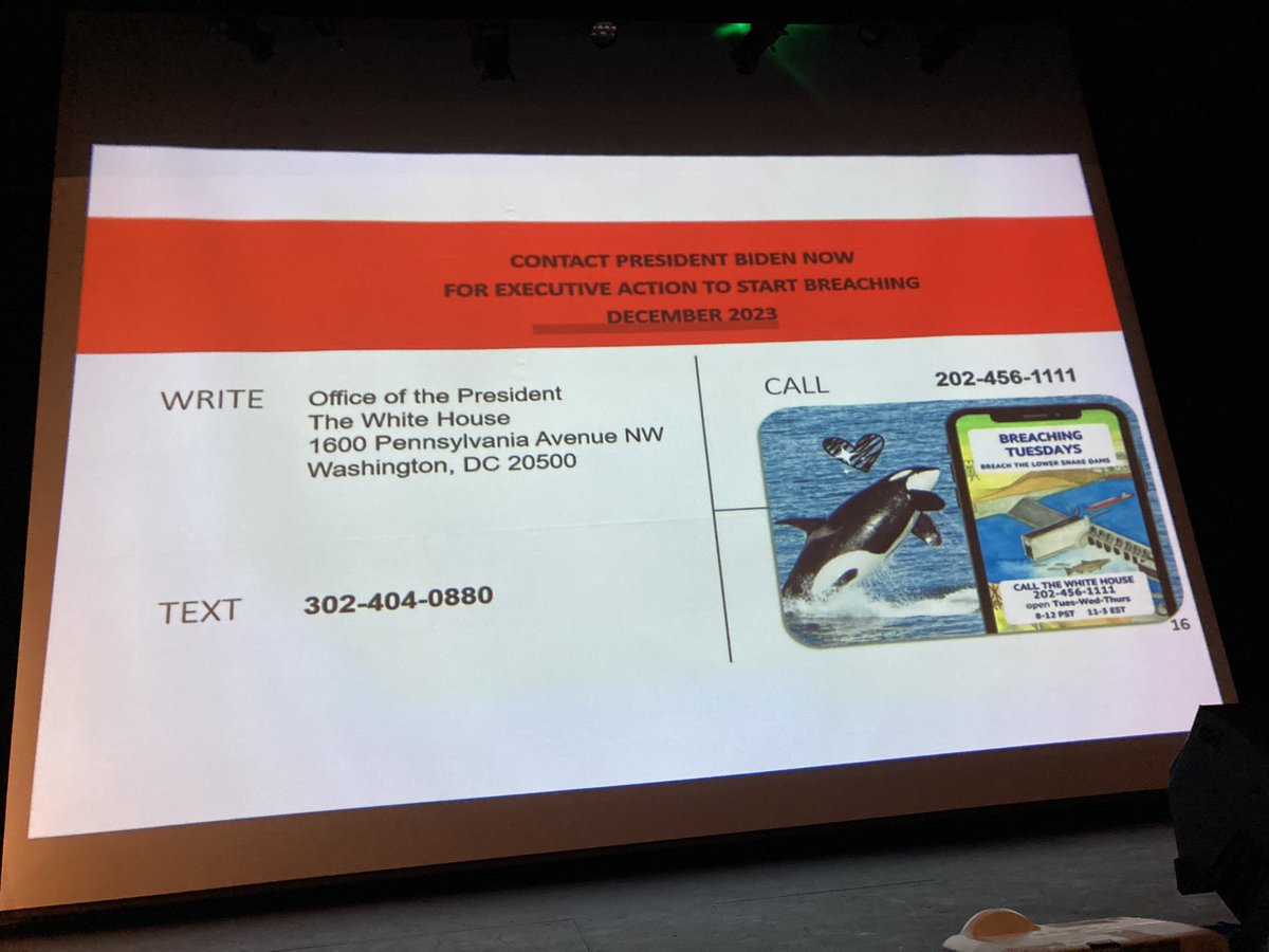 SuziQZQ's tweet photo. Breach immediately! No more studies. No more stays. We need #salmon. #LowerSnakeRiver @POTUS @WhiteHouse @GovInslee Come on Governor. #BreachTheLowerSnake #orca https://t.co/2Vn9Lr3J3r