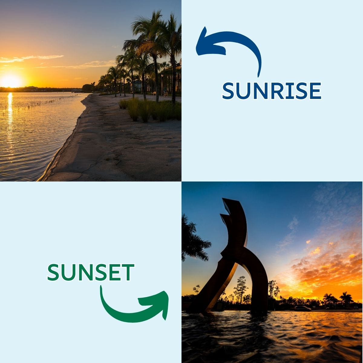 fgcu's tweet photo. It's time for...THIS OR THAT? Tell us in the comments which is your favorite! 💚💙 #FGCU #ThisorThat #CampusLife https://t.co/jrKPqB0PvI