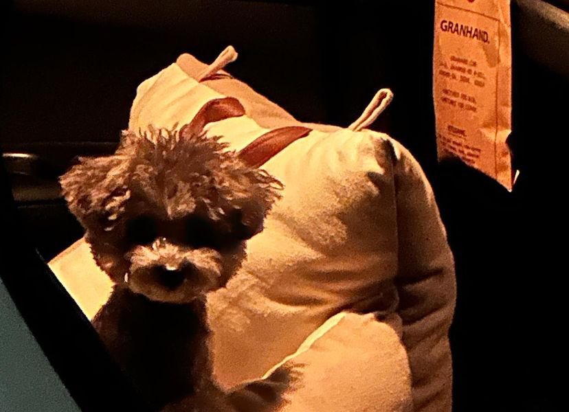 A.C.E CREAM tweet media