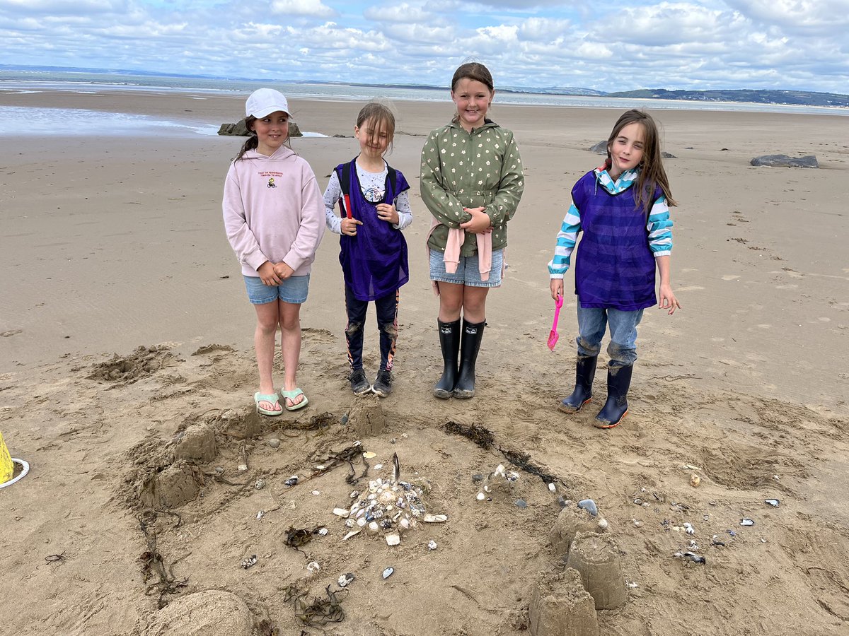 llanrhidianp's tweet photo. Some awesome sand sculptures created down the beach!ππ π’ #LlanOut #LlanHealth #LlanFun https://t.co/Aen9FhXQSM