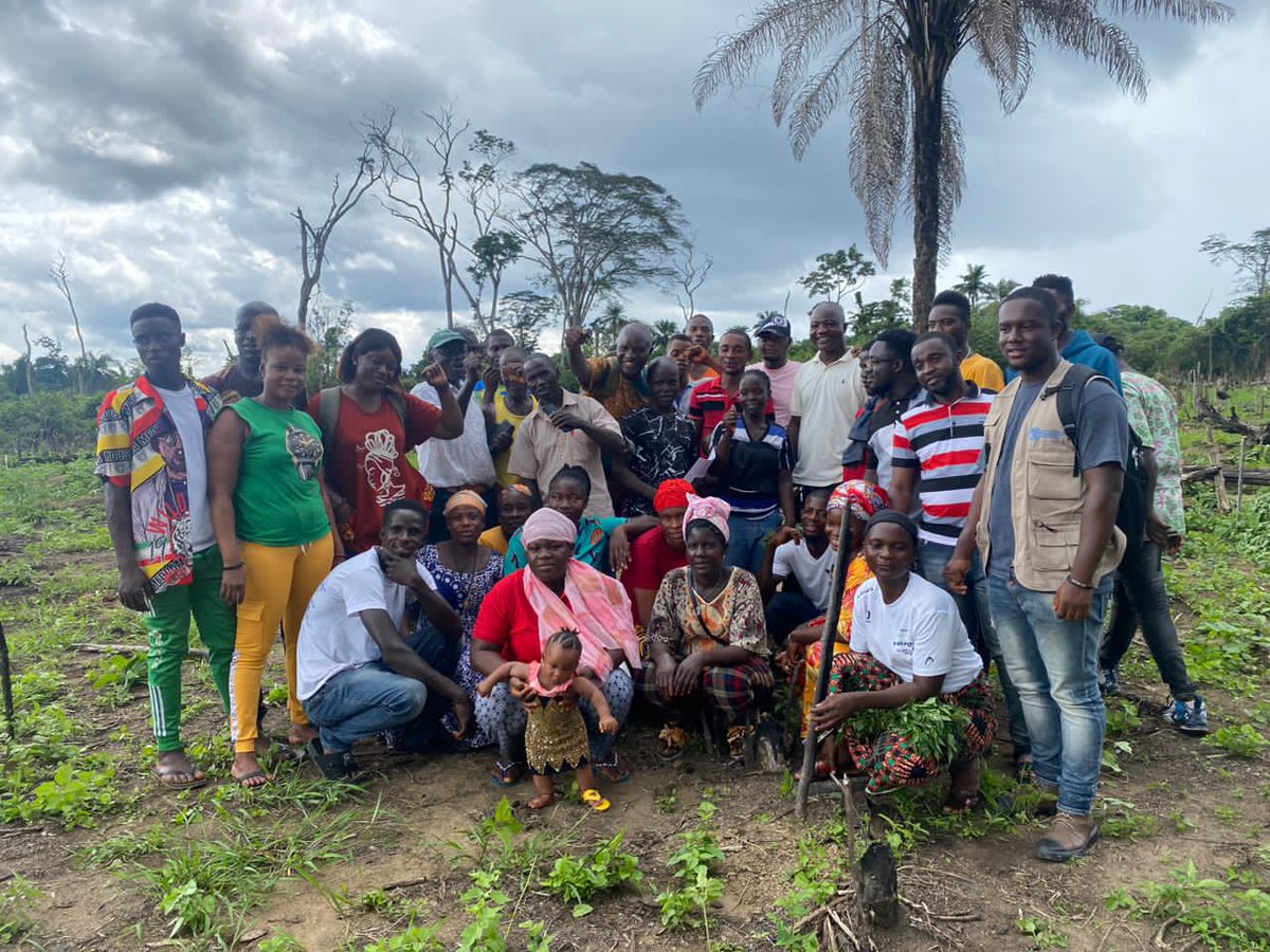 FAOLiberia's tweet photo. FAO #ForestFarmFacility, promoting #SustainableCharcoalProduction, supported through the National Charcoal Union of Liberia to establish a woodlot containing over 2000 seedlings 🌱 on 2.5 ha. 

It was turned over today to Salayea Charcoal Producers Association, Lofa County 🇱🇷 https://t.co/zgDxWi4Hnq