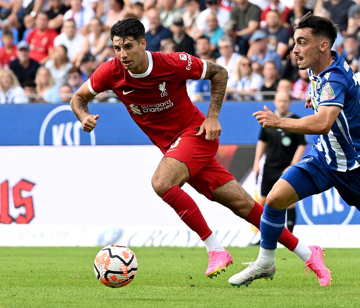 Bence Bocsák tweet media