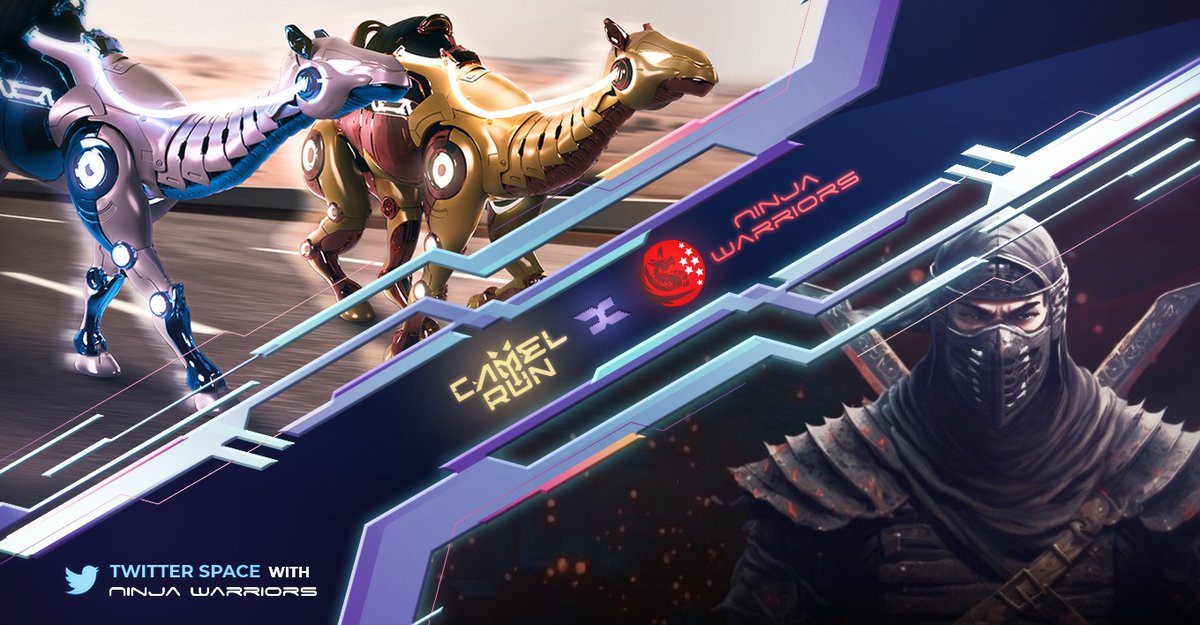 Camel Run tweet media