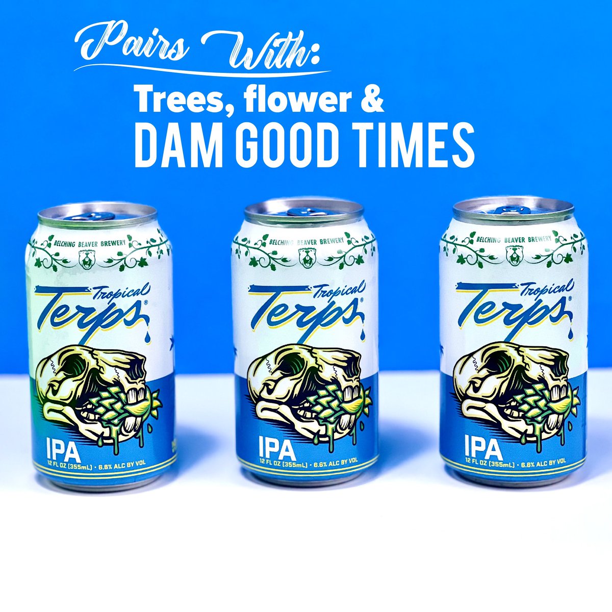 You know what we mean 😉 

🍻 Check out our brew finder to pick up a 6-pack near you. 

#damgoodtimes #belchingbeaver #sdbeer #ipa #terpenes #tropical #craftbeer