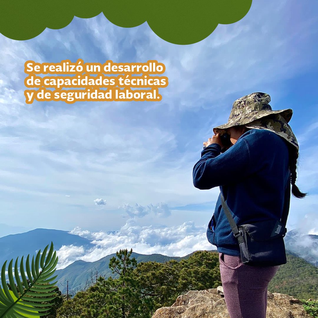 mde_mexico's tweet photo. El objetivo de esta iniciativa es promover el  desarrollo rural sustentable y la conservación del bosque mesófilo de montaña, para reducir las emisiones producto de la deforestación y la degradación ambiental. https://t.co/3W0hb6SfD8