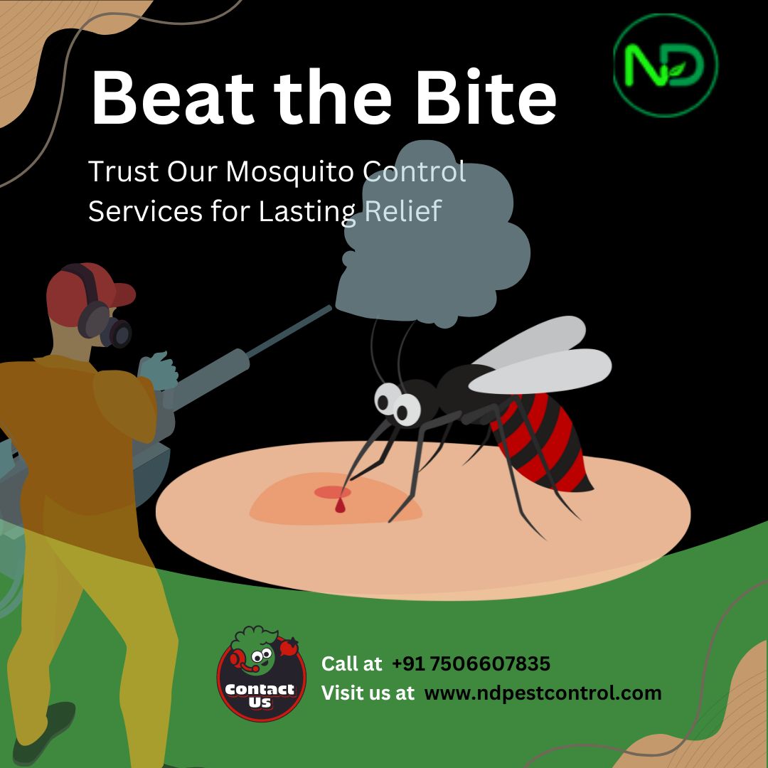 nd_pestcontrol's tweet photo. 😎🌅 Let our team handle the mosquitoes, so you can relax and unwind in peace. 🛋️💤

#MosquitoControl #PestFreeLiving #BuzzOffMosquitoes

Contact Us:
☎️ Phone: +91 7506607835 / +91 8655285713
📧 Email: info@ndpestcontrol.com
🌐 Website: https://t.co/NdKRXDWBfp https://t.co/ophfUTMENG
