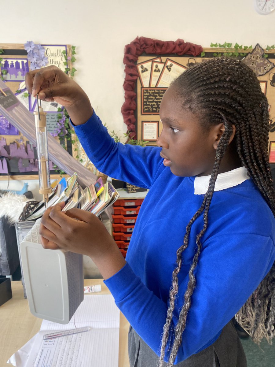 CedarFoxfield tweet media