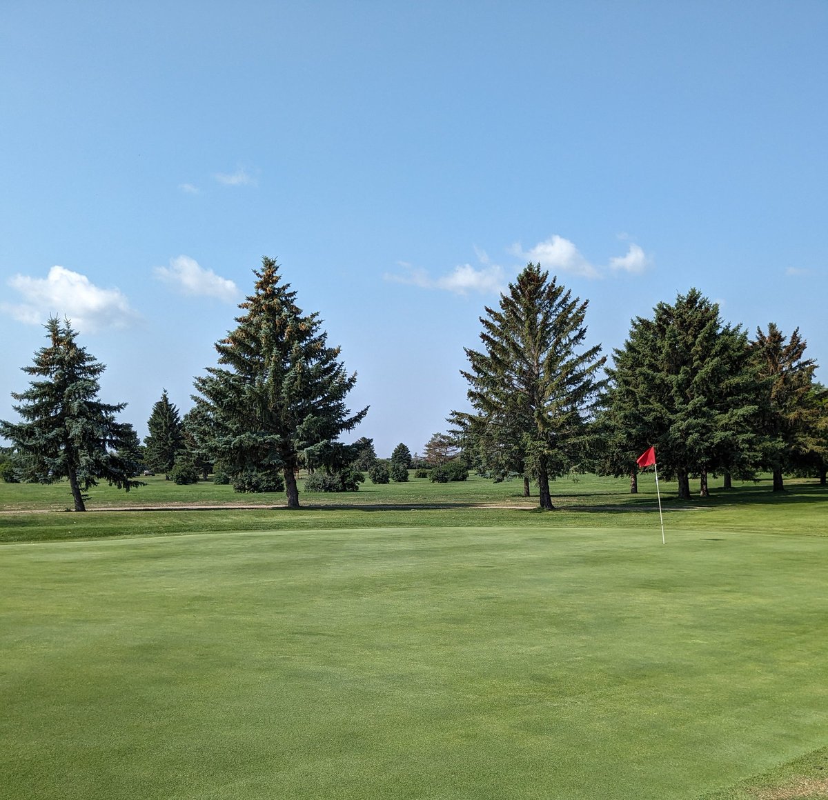 WcTurfball's tweet photo. Sweet morning on the prairies. @DuchessGolf using the @MaredoBV GT 190 Fraze groomers. no visible slits,pulls poa by the root,  stands turf up, leaves a smoother surface.👍 https://t.co/6IcwvrHAaS
