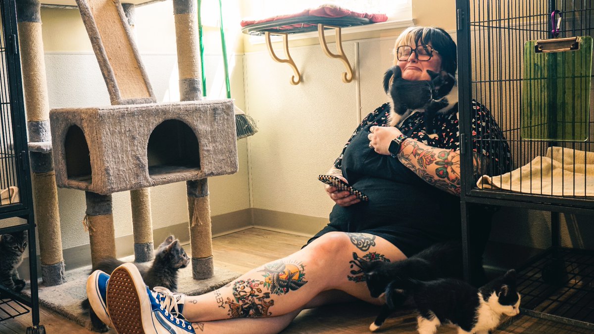 Our team is looking forward to helping <a href="/5_Acres/">Five Acres</a> celebrate 50 years of  helping pets in need! 🎉

#lifetimemediastl #marketing #media #partnerinproduction #videoproductionpartner #stlvideo #stlouis #videostl #fundraiserevent #brandvideo #animalshelter #petscommunity #stcharles