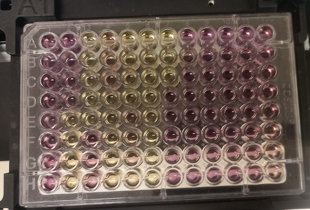 Adriana Martinez tweet media