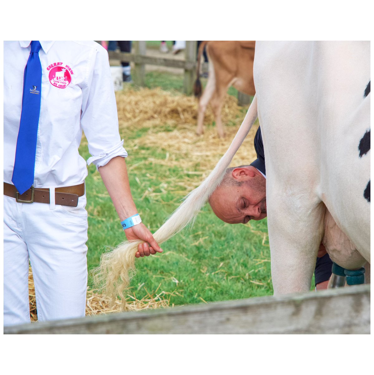 JoshMoonPhoto's tweet photo. Favourite shots of this year's #driffieldshow2023 @DriffieldShow https://t.co/aELxpg0ICP