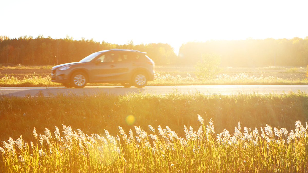 Who doesn’t love a warm summer day?!? But for new drivers even sunny conditions can offer a teachable moment! Follow our program as they use their time off this summer to practice driving. PSDPonline.com #RoadReady #learntodrive #drivingtest #teendriver #learnerspermit