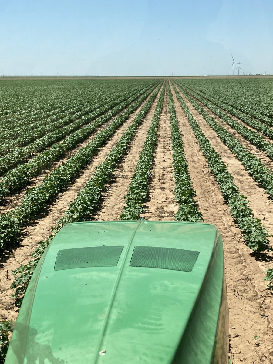 Steve Verett tweet media