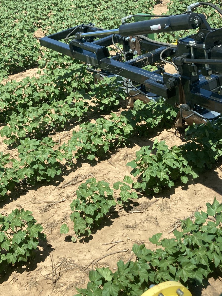 Steve Verett tweet media