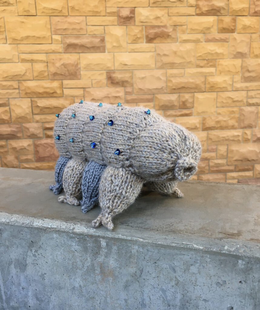 knithacker's tweet image. 4 Crochet Tardigrade Patterns, Plus One For Knitters &amp;amp; Cross Stitchers ... This 8-Legged Wee Beastie Will Outlive Us All: 👉 buff.ly/3ioqDwW #crochet #tardigrade #amigurumi