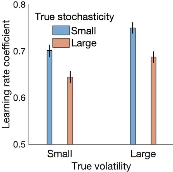 New preprint with @nathanieldaw: Humans can distinguish volatility (rate of change or diffusion noise) & moment-to-moment stochasticity (or observation noise) and adjust their learning adaptively. As theoretically expected, these have opposite effects on humans' learning rate.