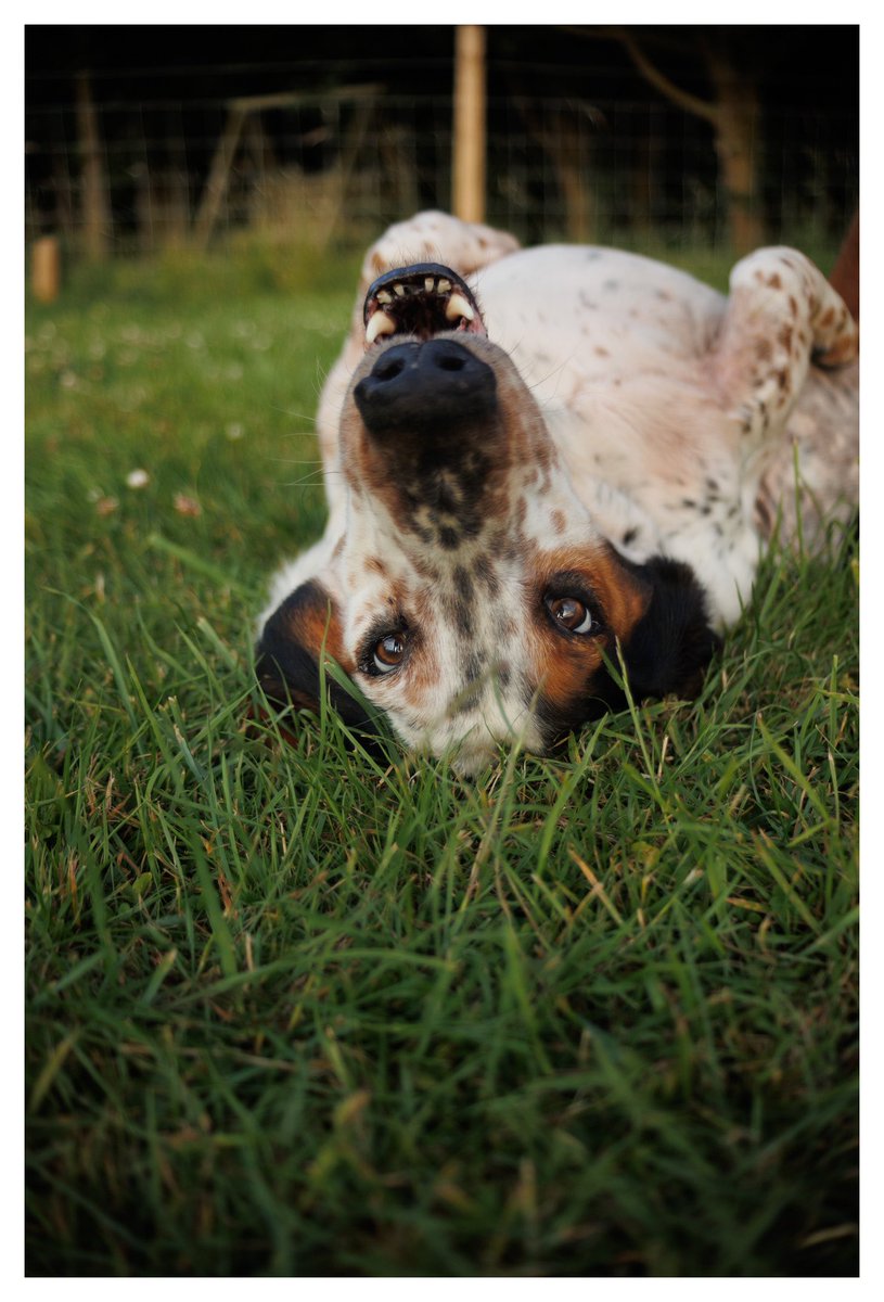 Phil Sledge tweet media