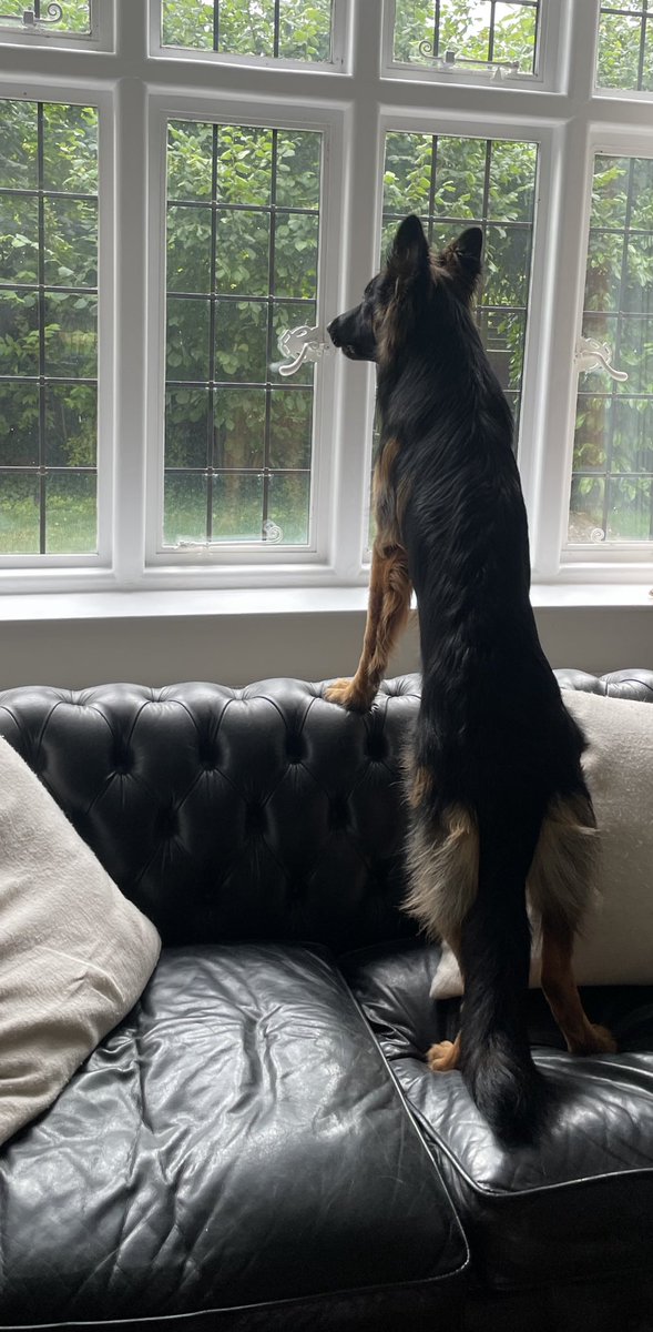 Jane Copland tweet media