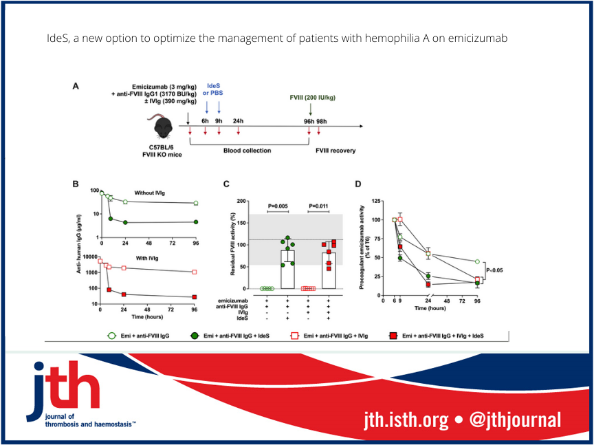 JTHjournal's tweet photo. IgG-✂️enzyme (IdeS), tool to ease management breakthrough bleeds or programmed major surgeries in inhibitor-➕ PwHA 💊emicizumab prophylaxis.
@Melissa_MBJ
@CRCordeliers 
@Inserm          
@CNRS  
@INSB_CNRS
@DesmazesLacroix
@InsermU1176
@Sorbonne_Univ_
https://t.co/jwMS0eLv8G https://t.co/mLQh4ceBb1