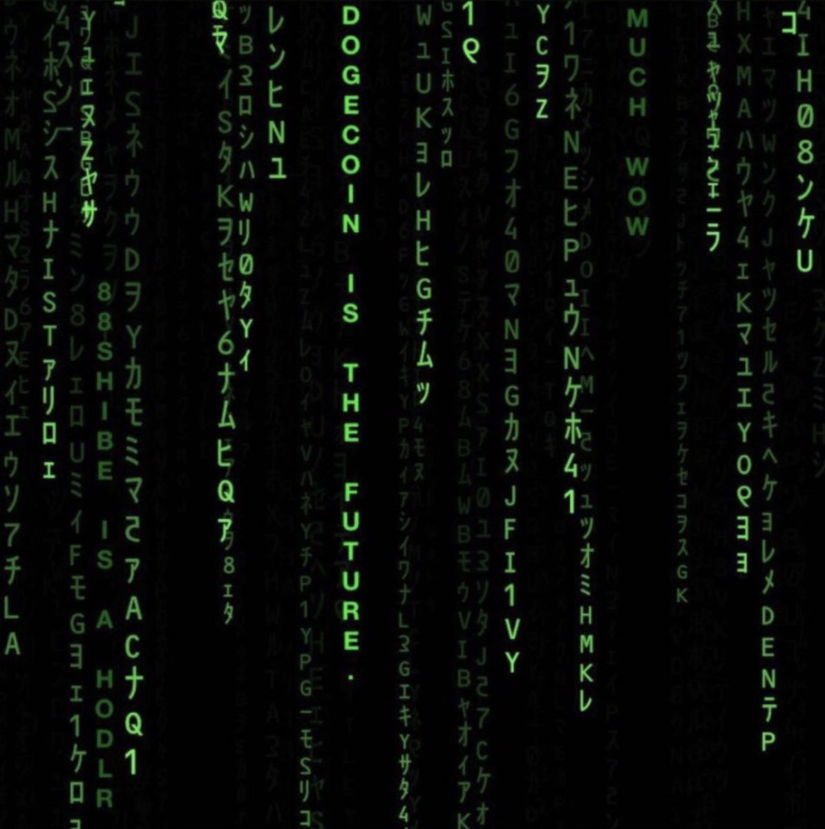 #Dogecoin is a philosophical riddle