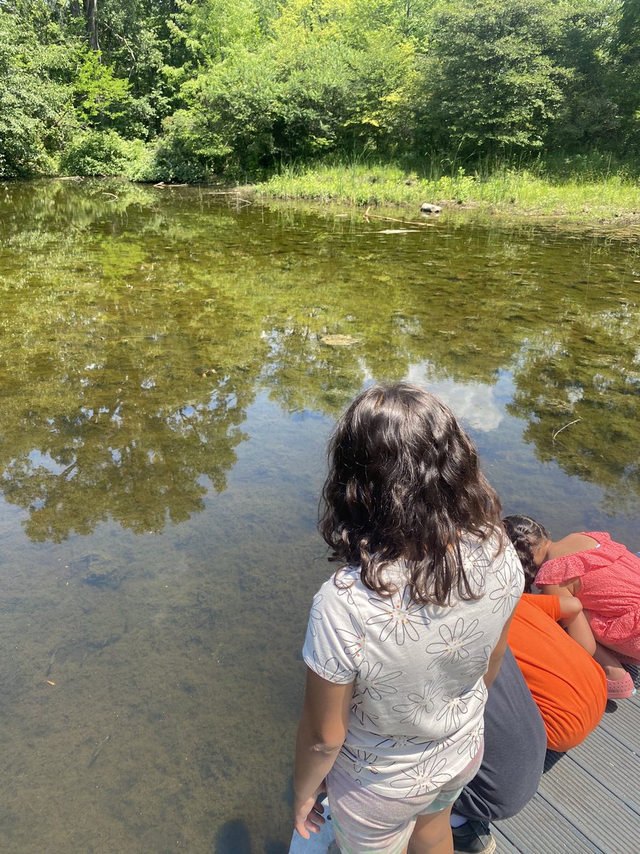 Today at #CampMigizi, the K-2s went on a nature walk to the pond! We love seeing all the wildlife 🐢🐟<a href="/gecdsbpro/">GECDSB PR</a> <a href="/ClaraHowitt/">Dr. Clara Howitt</a> <a href="/OjibwayPrairie/">OjibwayNatureCentre</a> <a href="/Joseph745613165/">Zozep</a> <a href="/TinaDeCastro1/">Tina DeCastro</a> #GECDSBSLP2023