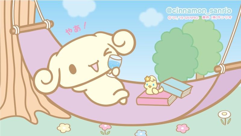 sanrio daily ✨ tweet media