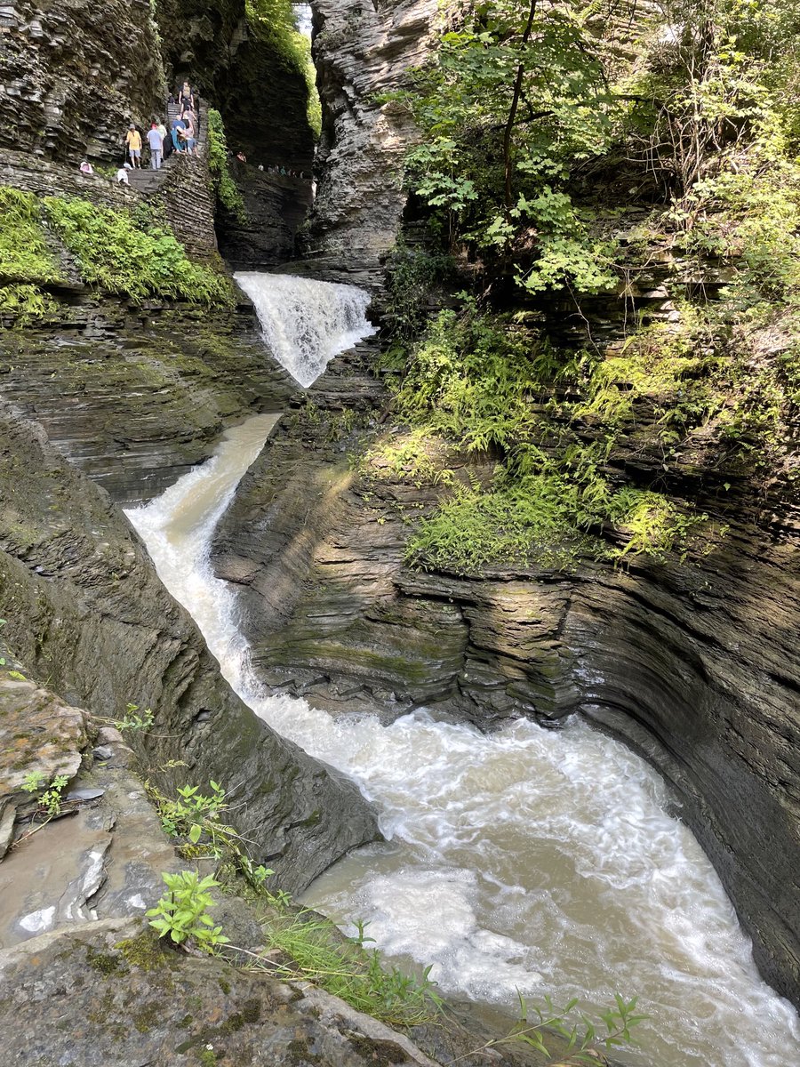 FlanaganBio's tweet photo. Water’s two sides: its erosive power has been cutting this gorge for thousands of years; and its spray is enabling plant life to grow on the rocks above. It’s strong enough to take away, and gentle enough to provide. #NatureBreak https://t.co/XNpwKysgp8
